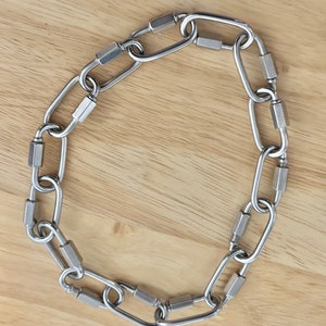 Chunky Carabiner Necklace