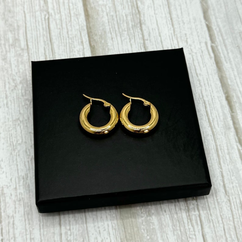 Thick Hoop Earrings