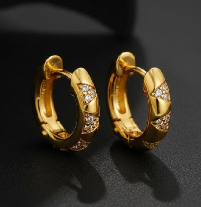 Mixed CZ Circles Hoop Earrings