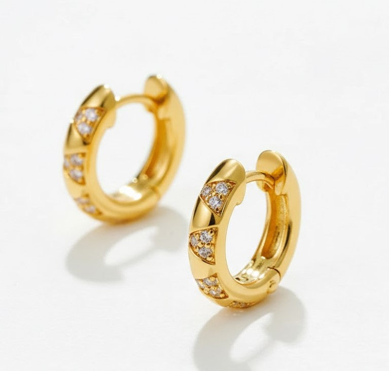 Mixed CZ Circles Hoop Earrings