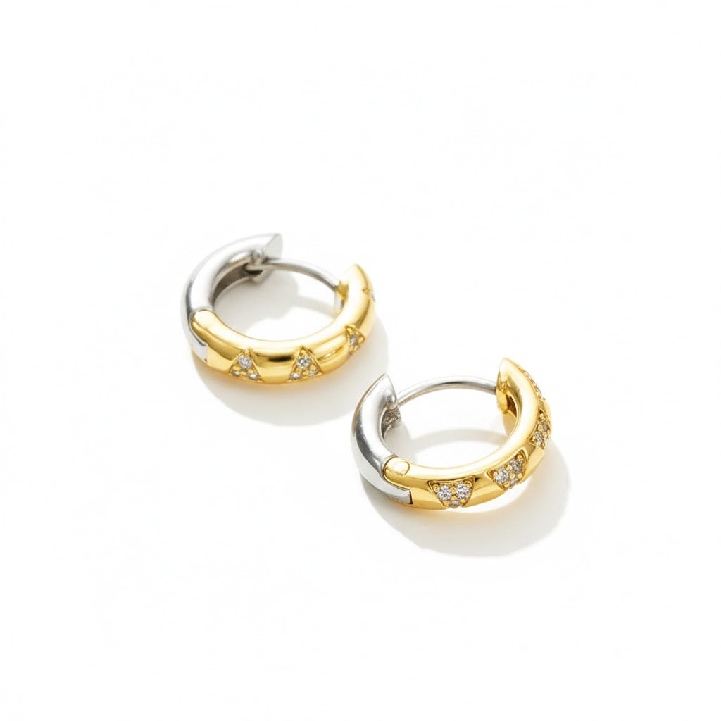 Mixed CZ Circles Hoop Earrings