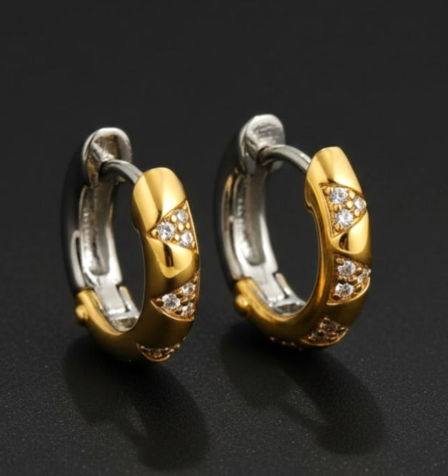 Mixed CZ Circles Hoop Earrings
