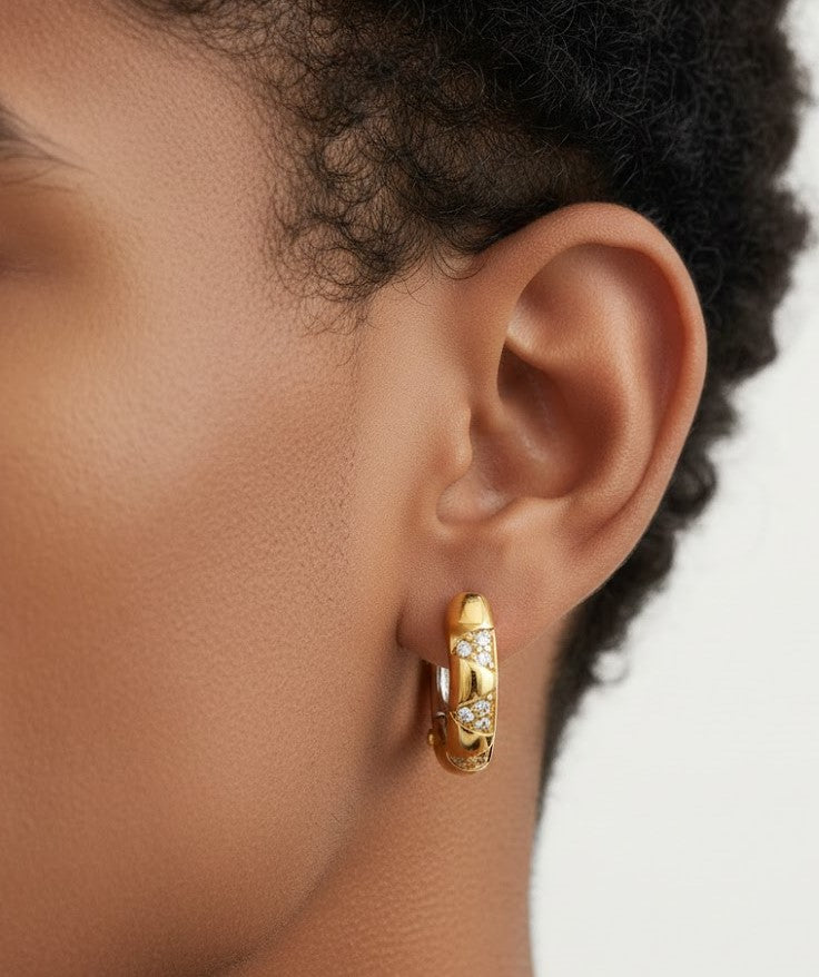 Mixed CZ Circles Hoop Earrings