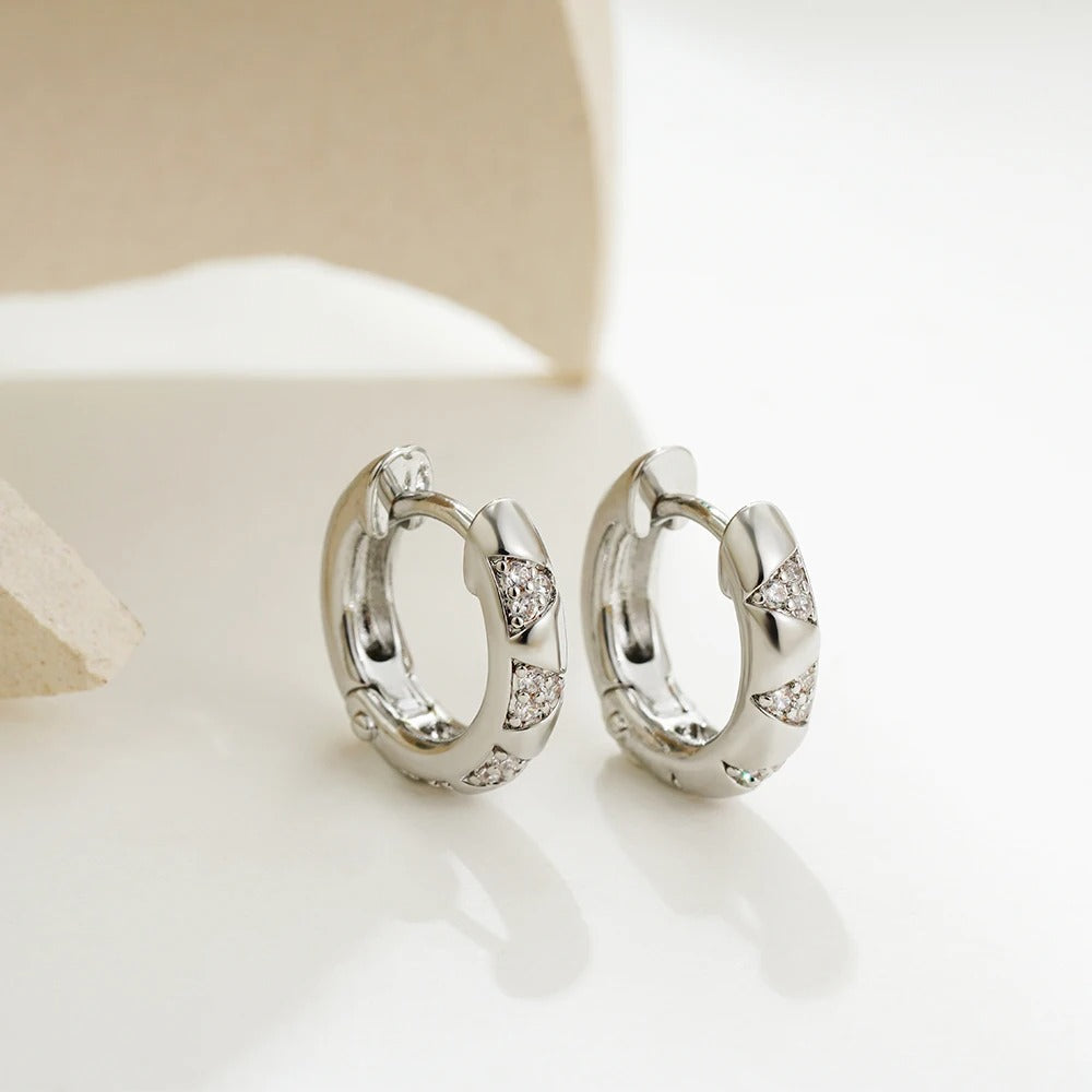 Mixed CZ Circles Hoop Earrings
